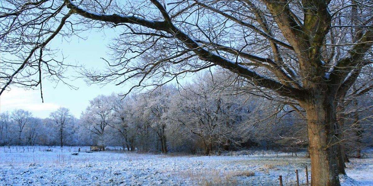 Suffolk holiday winter