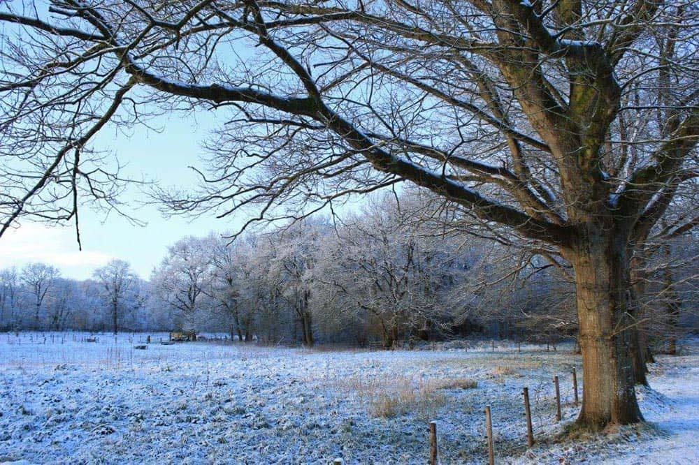 Suffolk holiday winter scene